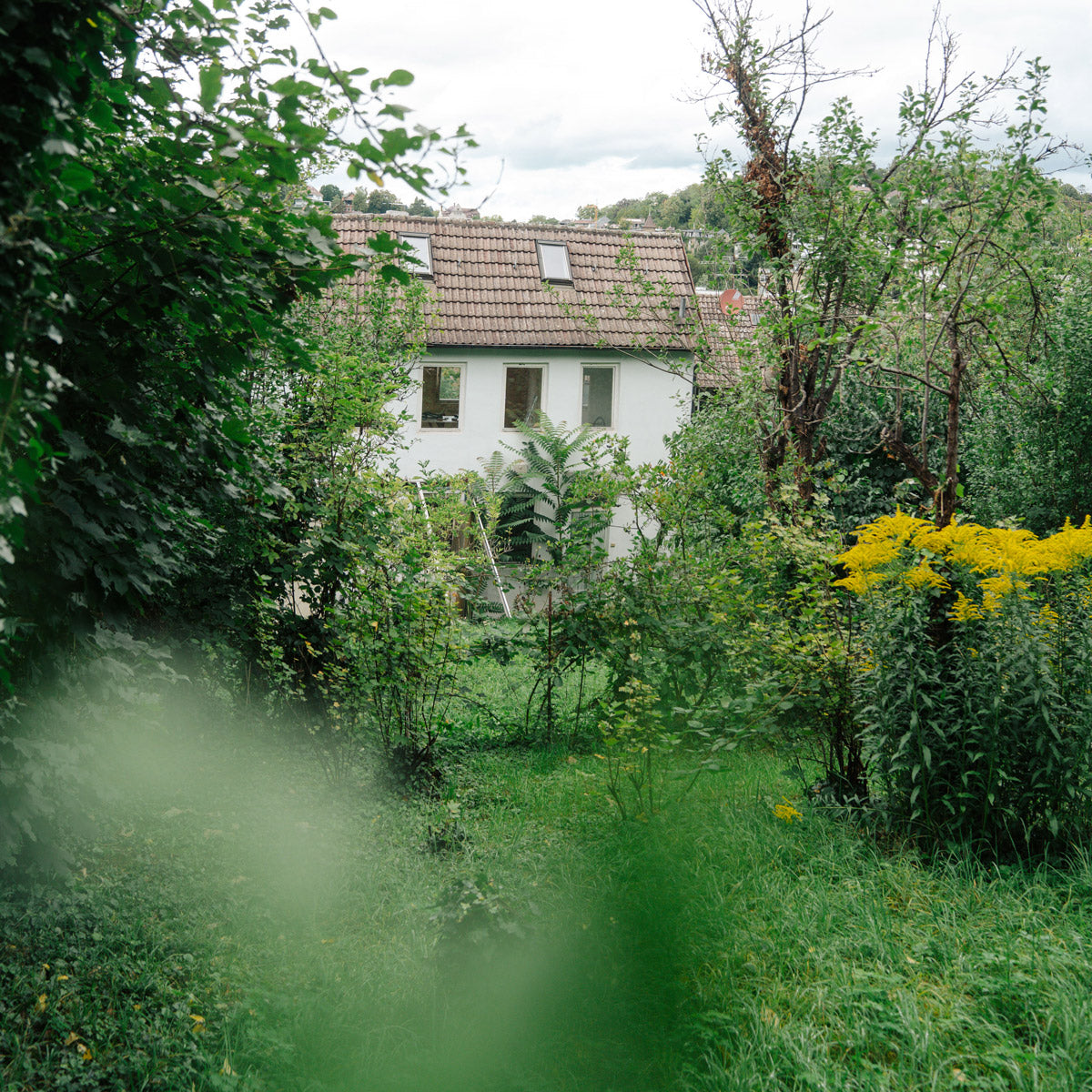 Formulierungen – Gartenlesung zur Buchpräsentation